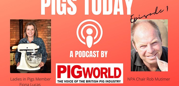 Pigs Today podcast
